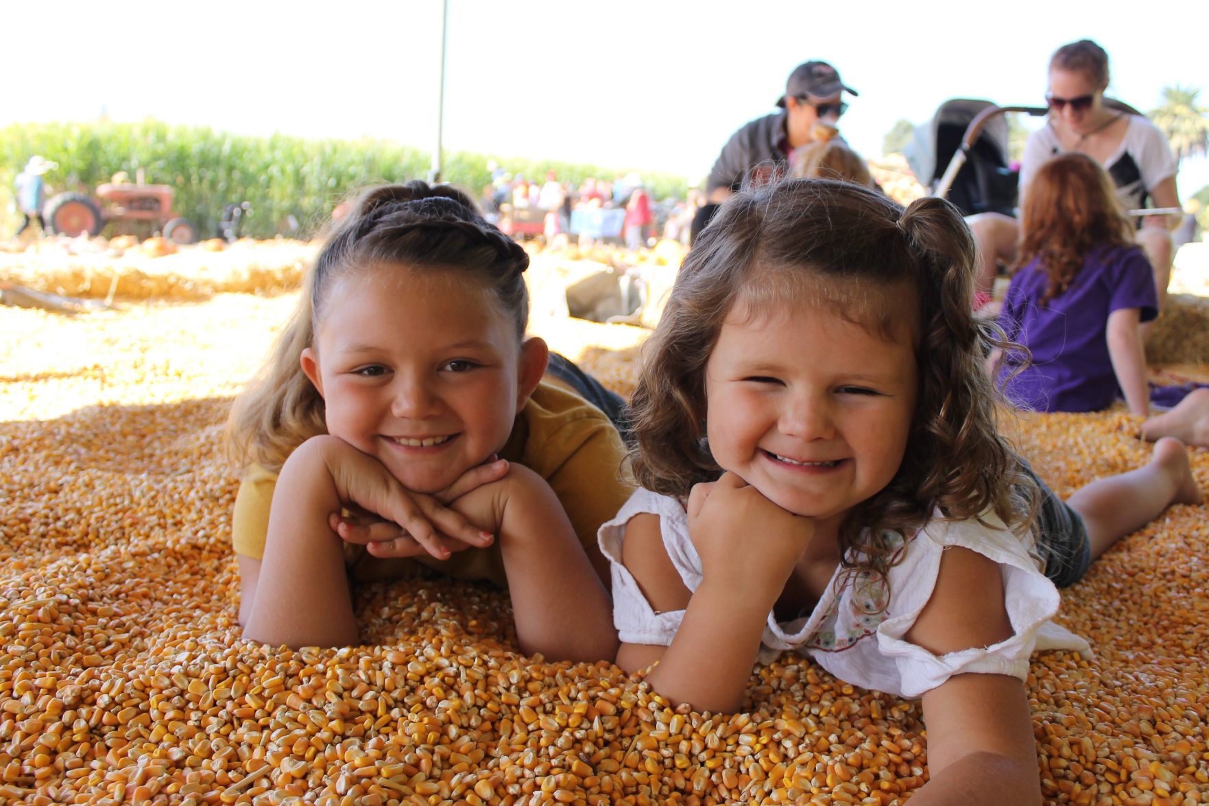 Picking Pumpkins 2019